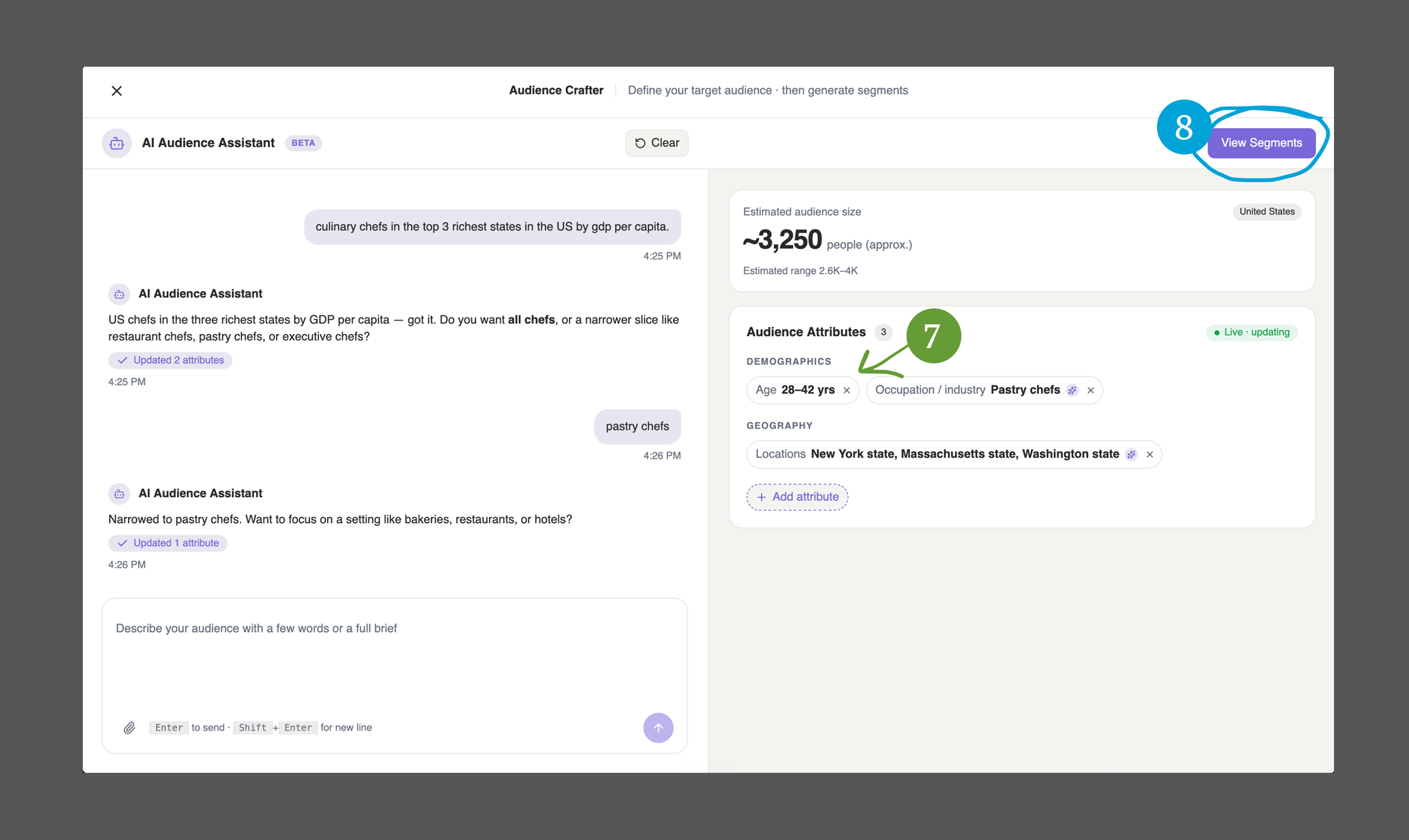 The audience attributes showing the new age range, with the View Segments button highlighted