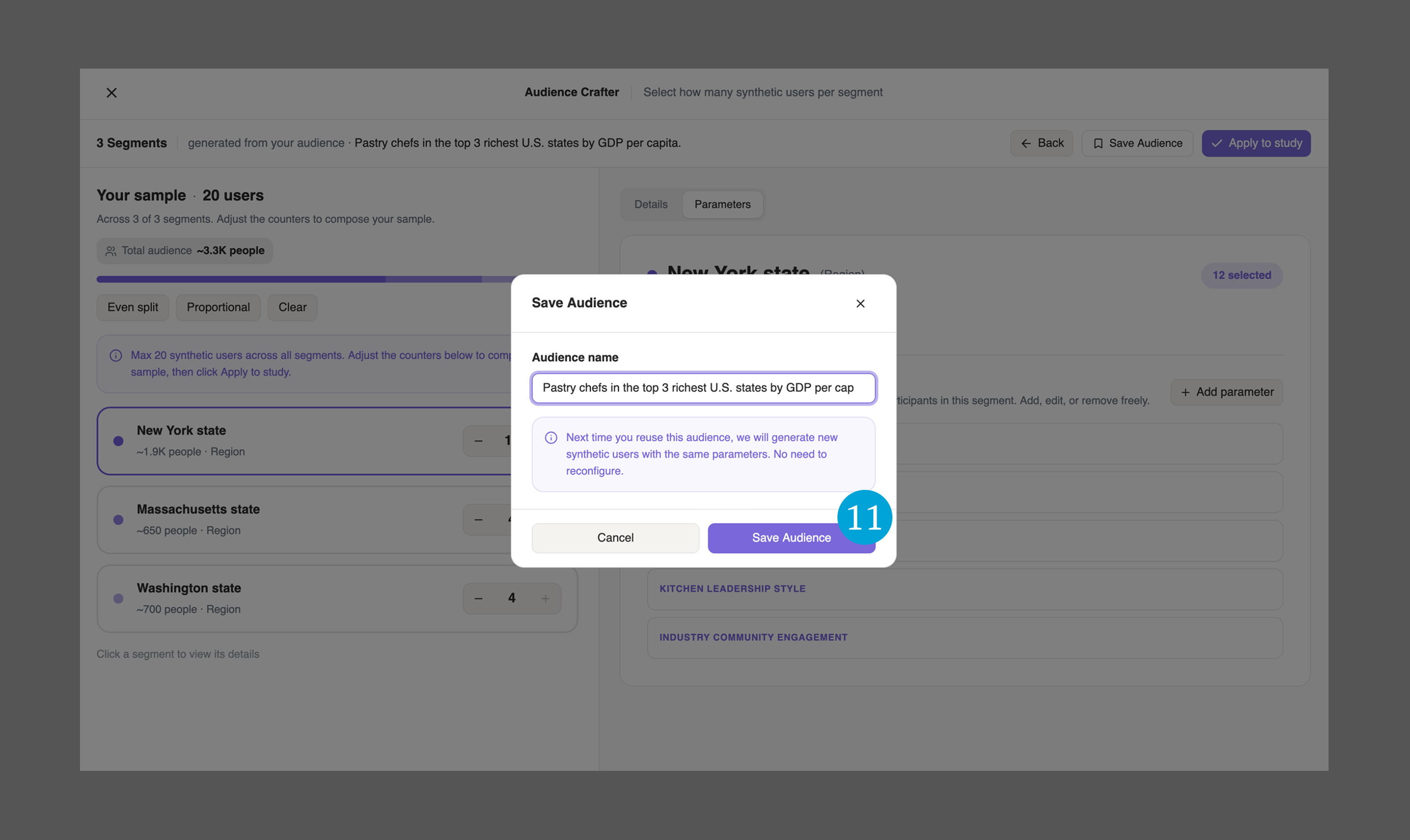 The Save Audience dialog with a name field and confirmation button